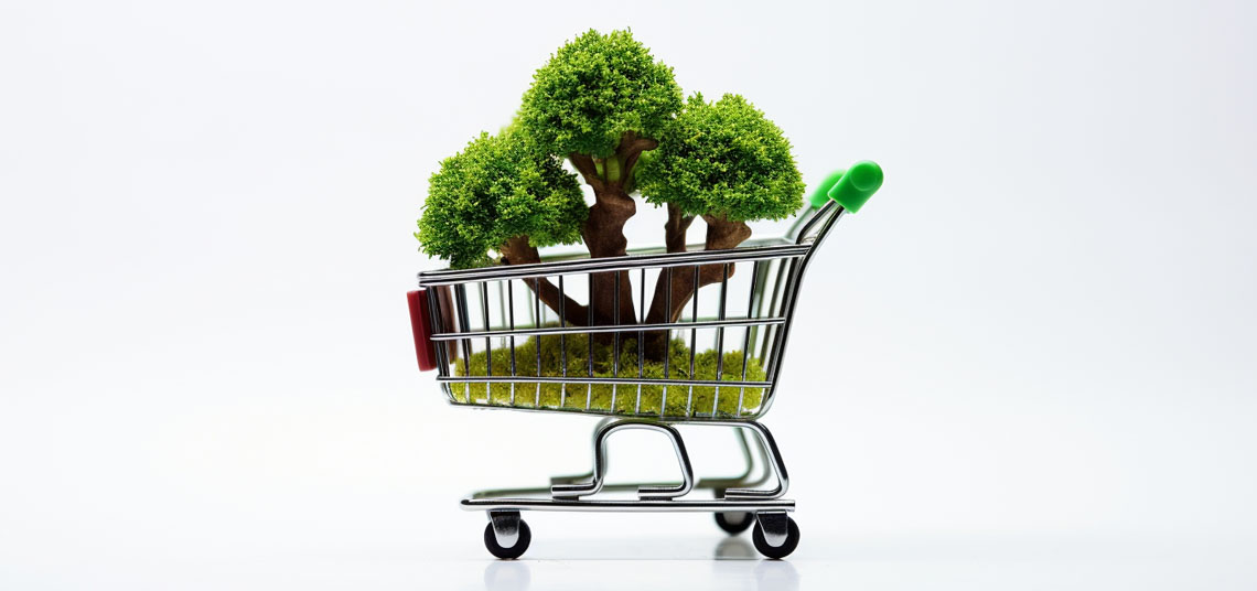 E-ticaret Sitesinde Sürdürülebilirlik ve Yeşil Pazarlama