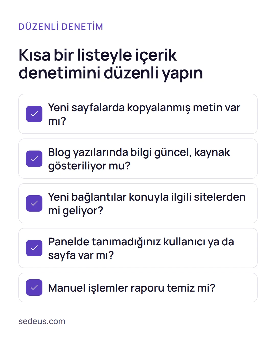 Kontrol listesi: kopya metin, blog güncelliği, gelen bağlantılar, yönetici paneli ve Manuel işlemler raporu için beş denetim sorusu.