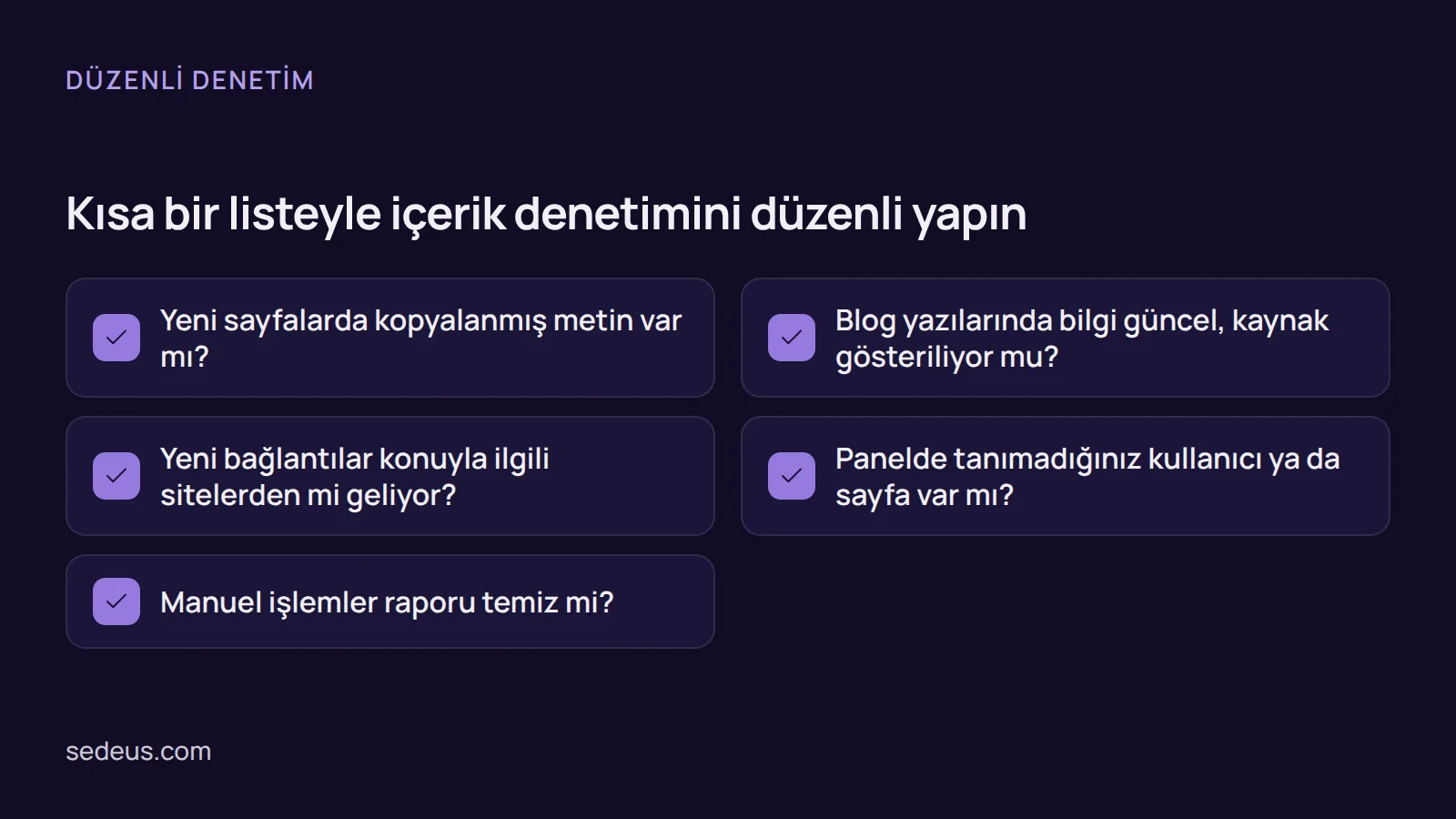 Kontrol listesi: kopya metin, blog güncelliği, gelen bağlantılar, yönetici paneli ve Manuel işlemler raporu için beş denetim sorusu.