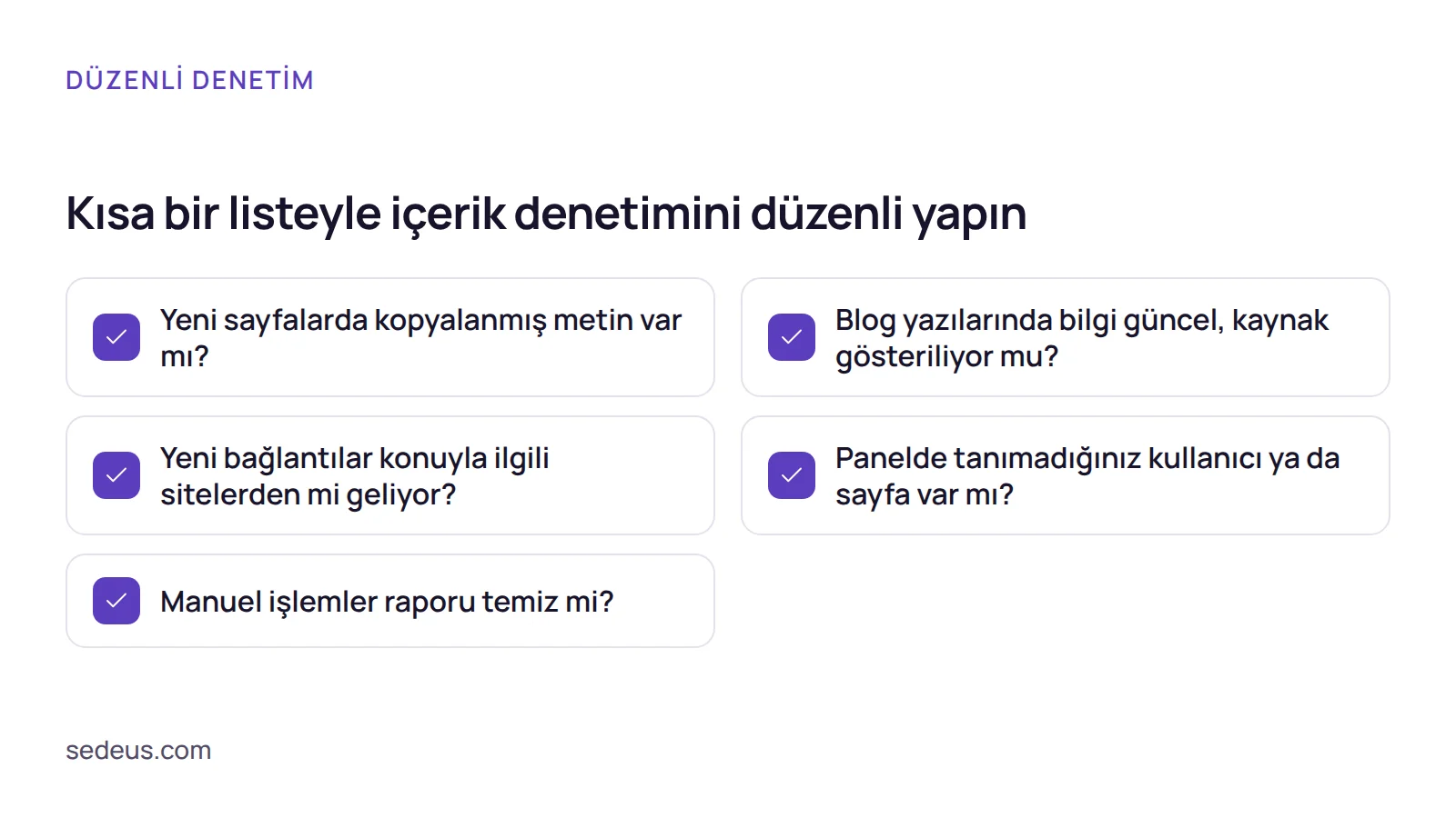 Kontrol listesi: kopya metin, blog güncelliği, gelen bağlantılar, yönetici paneli ve Manuel işlemler raporu için beş denetim sorusu.